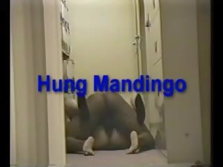 Fick die mandingo